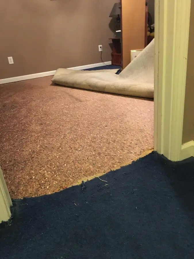 Carpet pad removal revealing water damage during Drying & Dehumidification in Rocky River